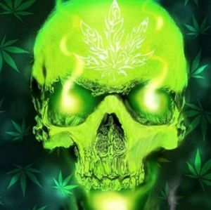 Meet your Posher, Benjamin